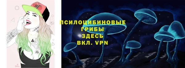 дмт Абинск
