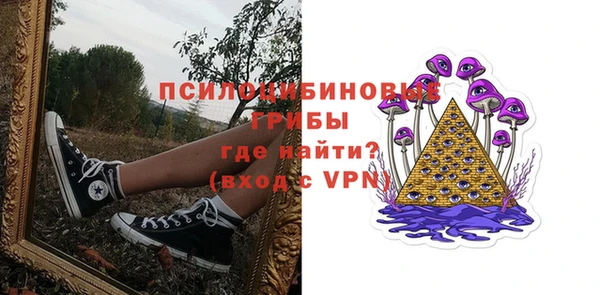 apvp Абаза