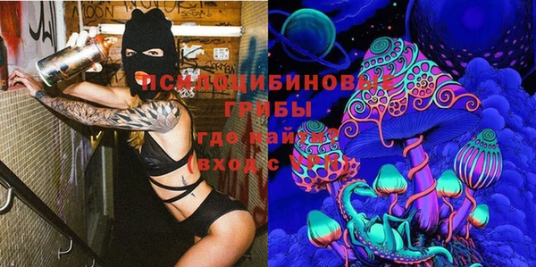 стаф Нязепетровск