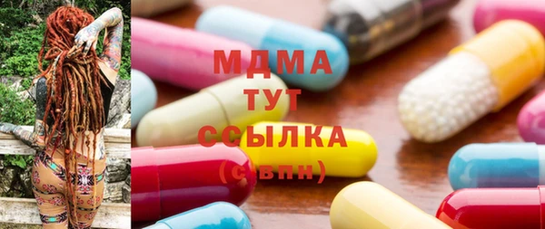 дживик Няндома